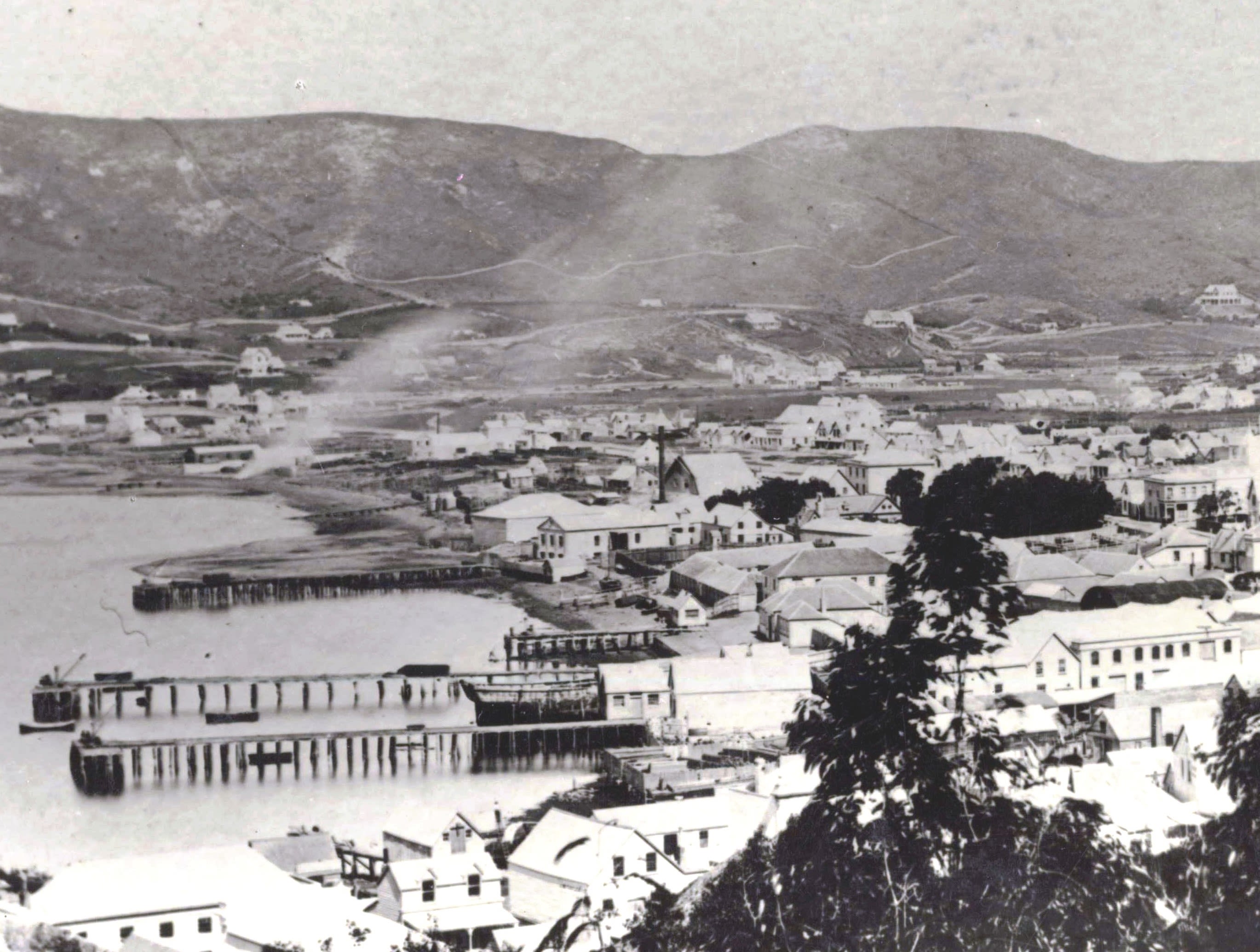 Black and white image looking over Te Aro towards Mt Victoria.