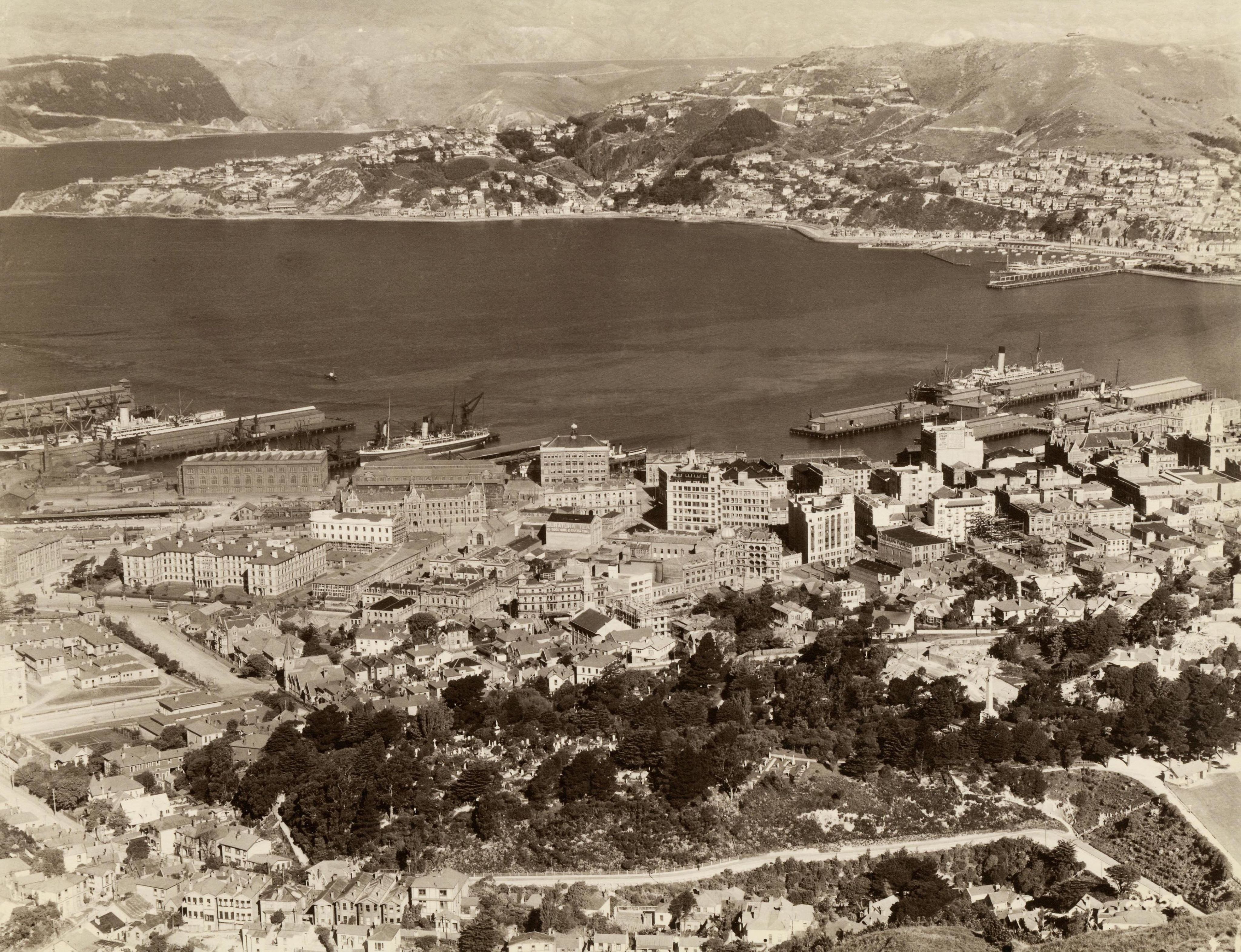 Wellington photographed from Te Ahumairangi / Tinakori Hill